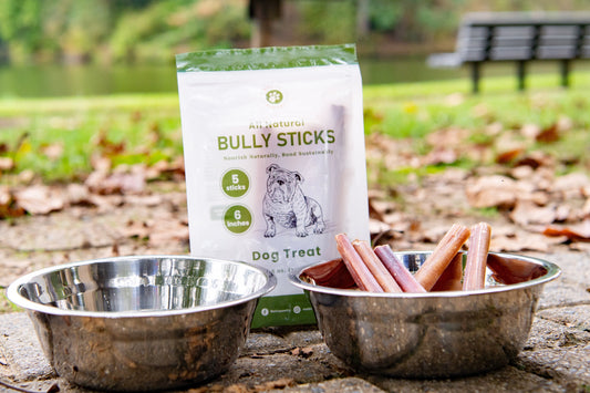 Two stainless steel dog bowls, one filled with bully sticks, placed outdoors on the ground beside a Melico Pawtry Bully Sticks dog treat bag.