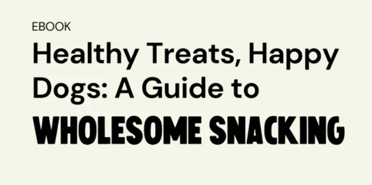 Introducing Melico Pawtry's Exclusive Ebook: A Guide to Eco-Friendly Pet Care