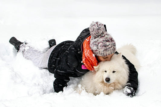 Person lying in the snow hugging a fluffy white dog, both dressed for winter with a coat, hat, and scarf.