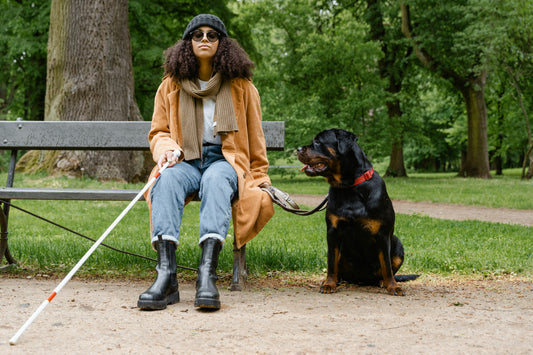 Why Guide Dog Day Matters: Raising Awareness for Assistance Animals