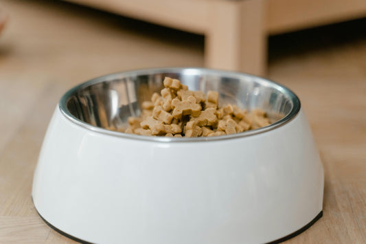White dog bowl with stainless steel interior filled with dry dog food, placed on a wooden floor indoors.