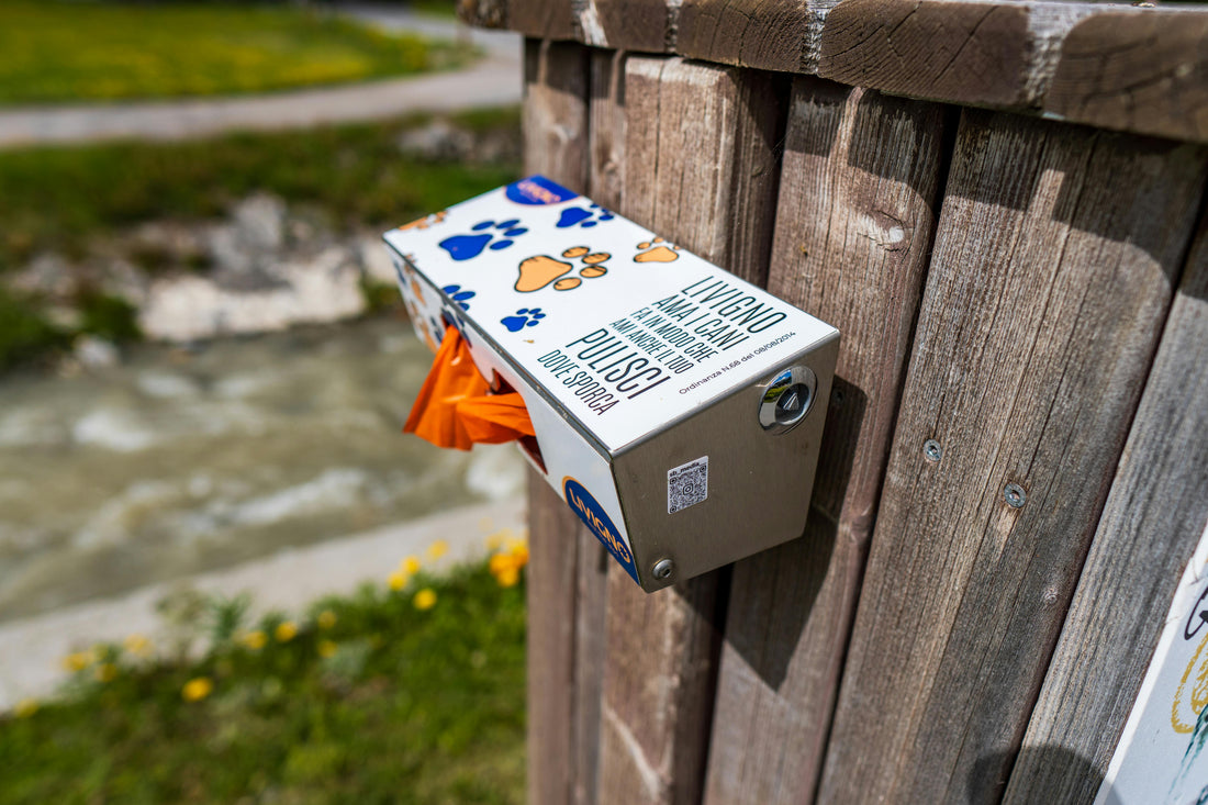 A metal dispenser box attached to a wooden fence containing orange dog waste bags, with text in Italian and paw print designs, near a riverside walking path.