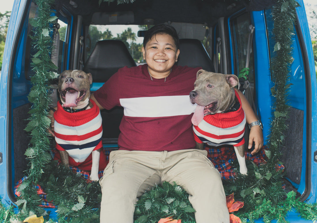 A person sitting in the back of a decorated blue vehicle with two large dogs wearing matching red, white, and navy striped sweaters, all smiling and surrounded by festive green garland.