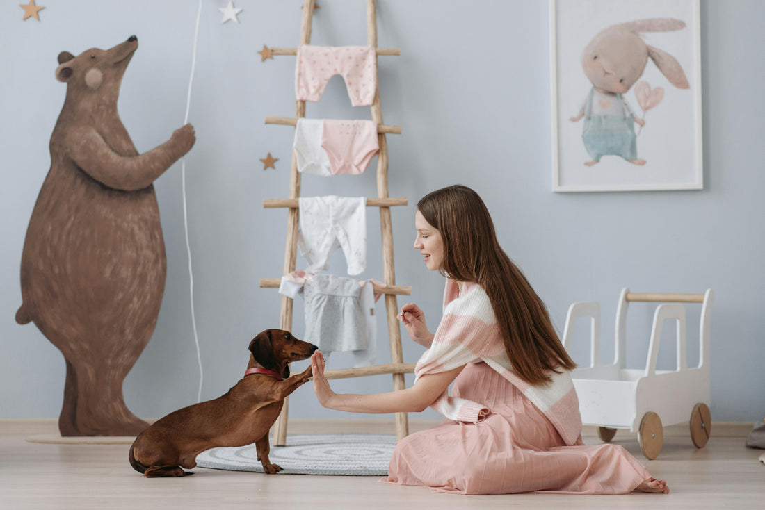 Child sitting on the floor offering a treat to a small dog in a softly decorated nursery with animal wall art and wooden toys.