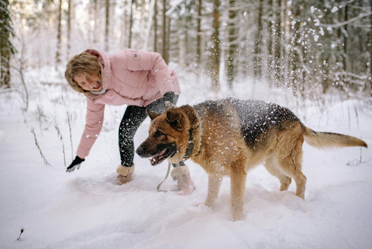 Woman in a pink coat playing in the snow with a German Shepherd dog in a snowy forest.