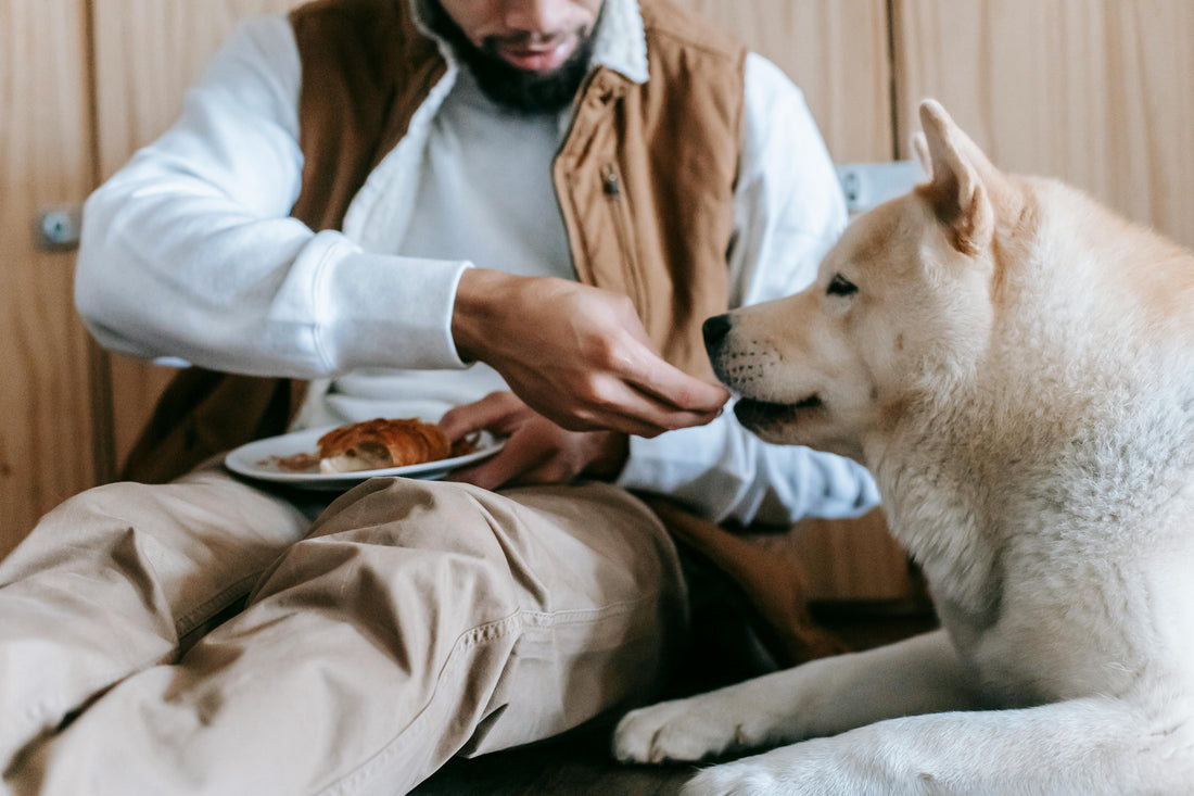Eco-Friendly Dog Dental Chews Without Chicken: Perfect for Allergies